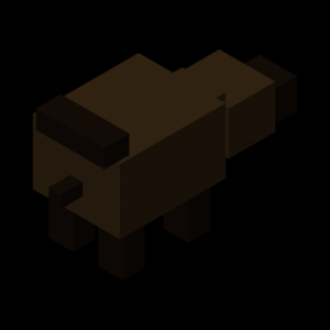 Wild Boar